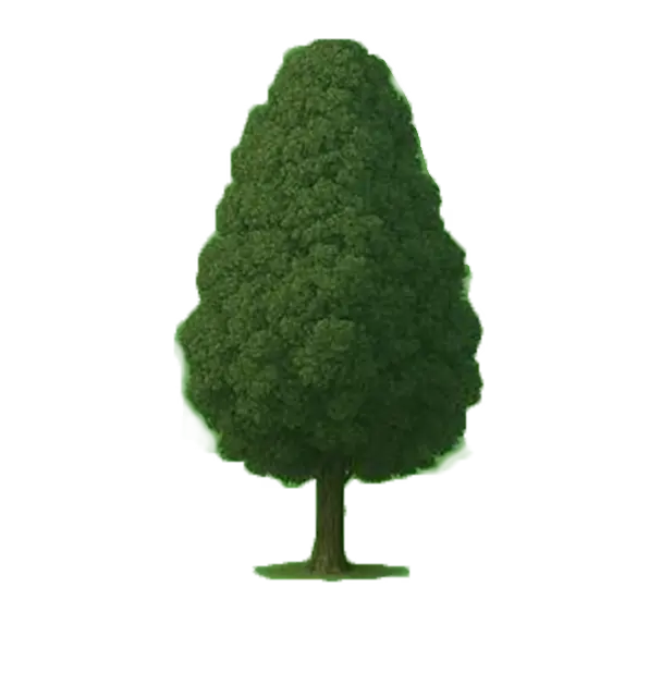 Isagog AI Tree